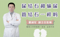 尿结石和输尿管结石一样吗