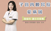 子宫内膜异位症病因
