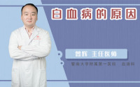 白血病的原因