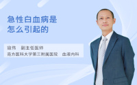 急性白血病是怎么引起的