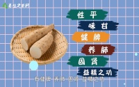 肾阴虚吃什么食物