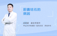 胆囊结石的病因
